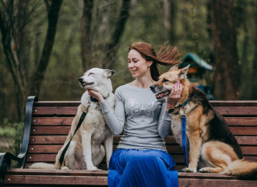 Благодаря московскому фонду «Собаки, которые любят» 147 брошенных животных  за год нашли семью